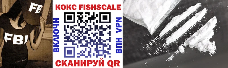 Купить закладки  Каменка  Cocaine FishScale 