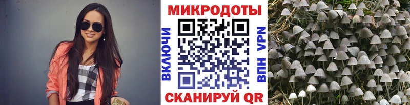 Купить закладки  Каменка  Псилоцибиновые грибы Magic Shrooms 